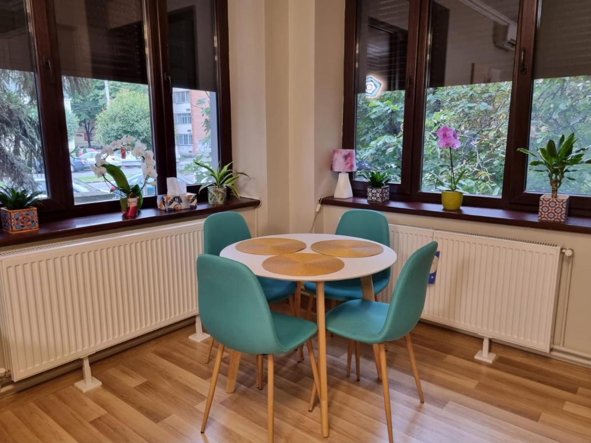 City Center Dream Apartment Timişoara Extérieur photo