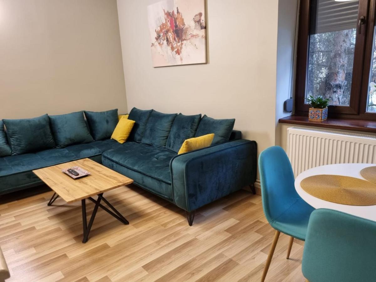 City Center Dream Apartment Timişoara Extérieur photo