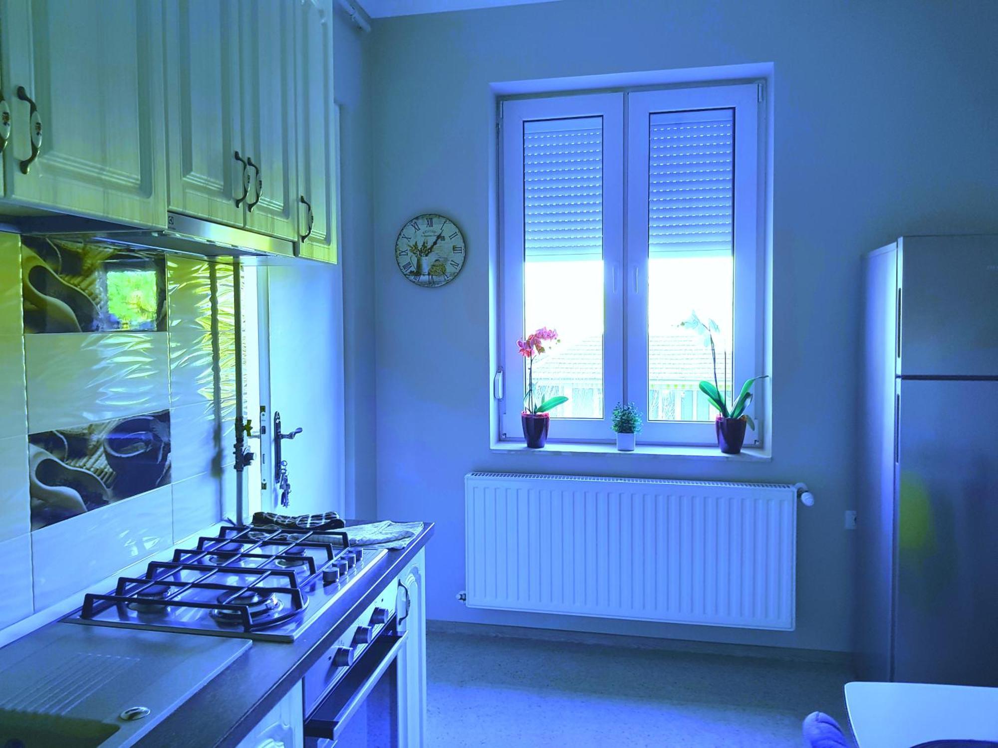 City Center Dream Apartment Timişoara Extérieur photo